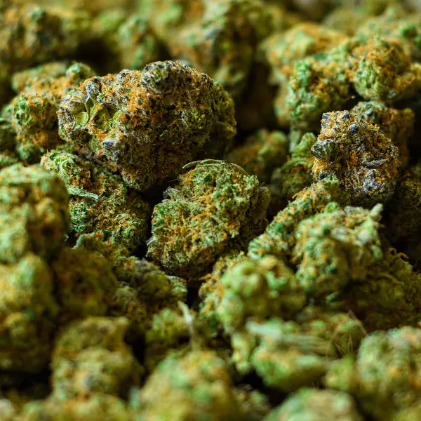 kanapes-ir-marichuana-koks-skirtumas-cbd-ir-thc-nauda-zinios