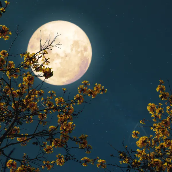 kodel-mes-miegame-miego-fazes-sutrikimai-sprendimai