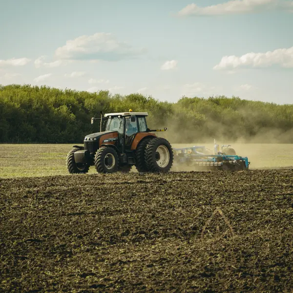 Kanapiu-laukai-cbdarbata-auginimas-ukis-kanapiu